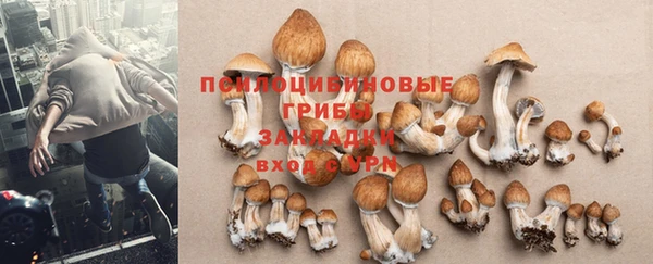 кристаллы Нея